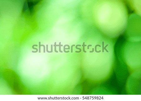 Green blurred bokeh background