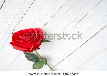 Red Roses flower for Valentine Day . Customize colors Vintage retro and old film Tone 