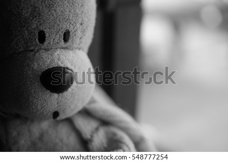 sad bear's sitting on a window in monochrome picture