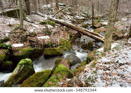 A Small Mountain Stream in the Allegheny National Forest in Pennsylvania