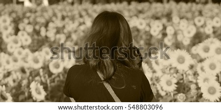 Photographer girl with sunflowers, artistic view of flowers, the shutter captures nature