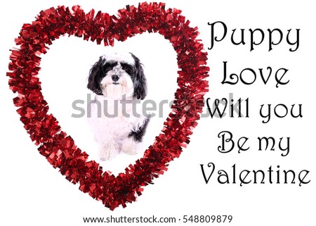 Cute Valentines Day Heart with a Dog inside isolated on white. Room for your text. Photo and Text easily replaced. 