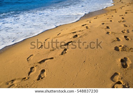 Sand beach. Calm seacoast. Human track on the yellow sand. Natural landscape.