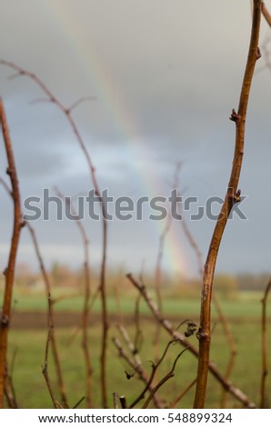 Autumn rainbow