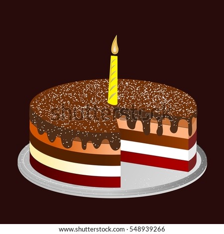 chocolate cake with a lit candle on the top isolated 