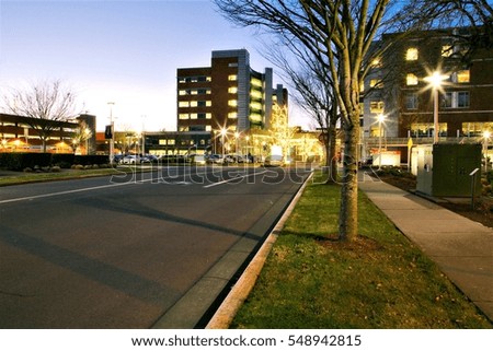 Lighted Sidewalk lined with Trees