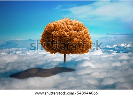 Trees in the clouds. Lonely tree growing on the meadow from the clouds. ecological concept. photo manipulation.