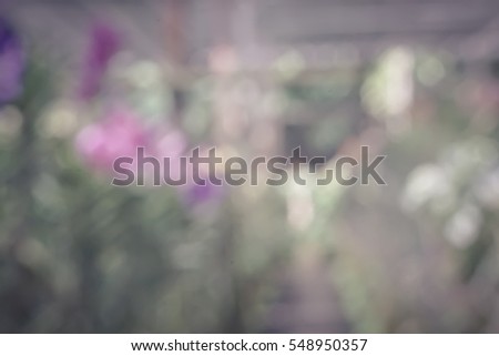 nature bokeh abstract blur background