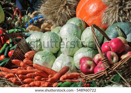A variety of vegetables: tomatoes, potatoes, pumpkins, squash, corn, corn, apples presented for sale at the fair.