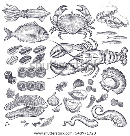 Seafood fish, shrimp, crab, lobster, octopus, mollusks, Japanese sushi isolated graphic black ink on a white background a set. Vintage engraving illustration art. Vector. Food and restaurant design.