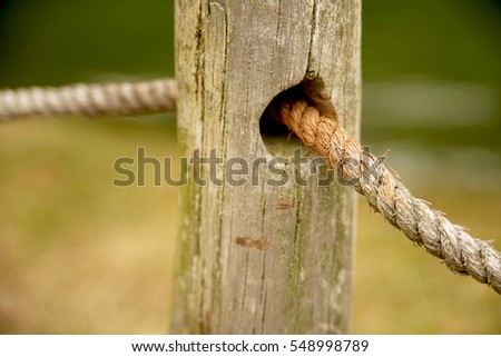 Rope fence detail