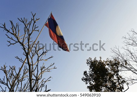 Laos flag is top of wood stick that lay on branch of tree with copy space