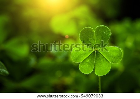 clover leaf in lens flare for Valentine background and St. Patrick's Day background