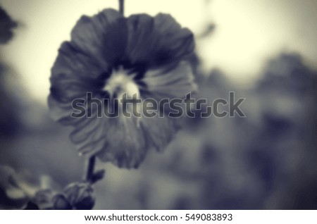 Blurred abstract background and can be illustration to article of pink flowers