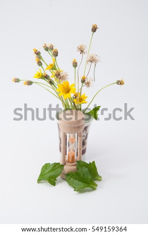 glass hour and yellow flower with green leaf isolated on white background