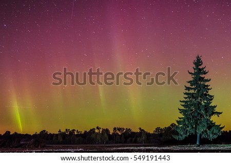 Aurora night in Latvia