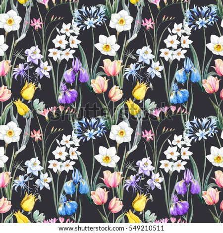 Watercolor floral spring pattern, botanical illustration. tulip flowers. narcissus. pink freesia. blue iris. Blue Aquilegia. black  background
