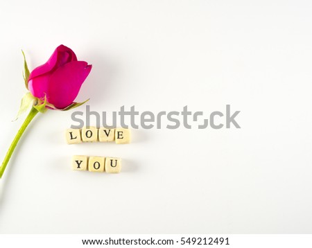 Rose and letter text love you on white background, valentine concept