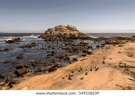 Beautiful landscape of the Coast of Chile of the Pacific Ocean