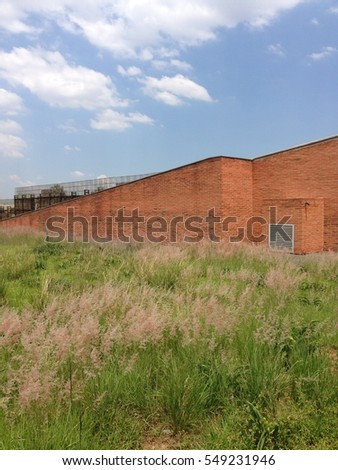 A building in a sea of grass