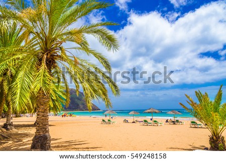 Beach in Tenerife, Canary Islands, Spain Royalty-Free Stock Photo #549248158