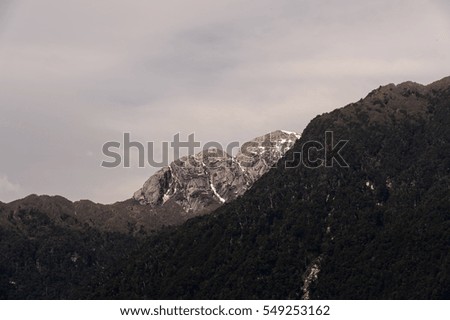Nature of the Vicente Perez Rosales National Park, Sector Puella, Chile, South America