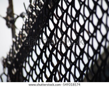 Barbed wire mesh, selective focus, use for background