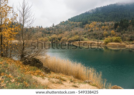 Autumn landscape with yellow leaves and green waters of lake Tsivlos, Peloponnese, Greece