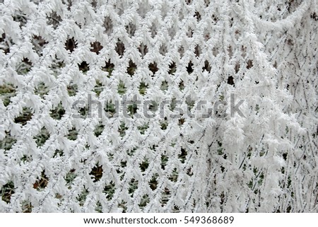 Hoarfrost on fence mesh as a combination of fog and frost
