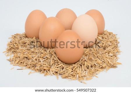 six eggs with husk