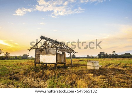 Landscape of rural field at sunset