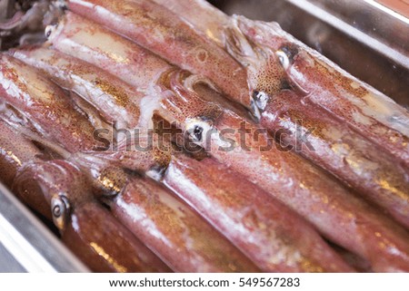 Closeup fresh squid on the market