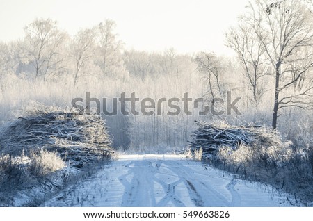Winter frost