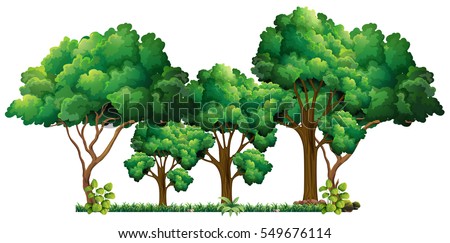 Scene with many trees illustration