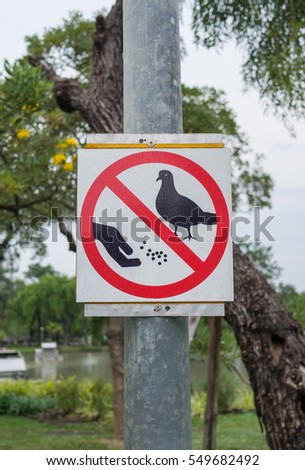 Do not stop feeding the birds 