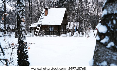 House in the winter forest