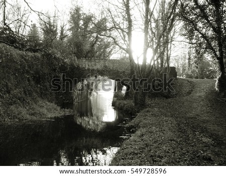 Old stone bridge in the winter, overgrown with ivy. Sunshine at back. Black and white photo.