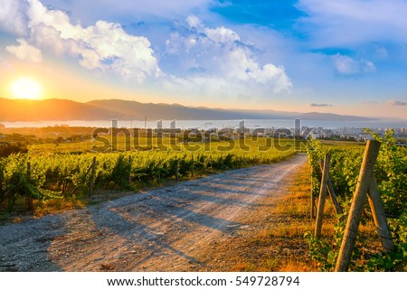 Morning sunrise landscape panoramic view on bay and sea port city. Summer nature sunrise with dramatic clouds sky.  Royalty-Free Stock Photo #549728794