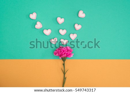 valentines candy with pink carnation flower on green and orange paper background minimal style