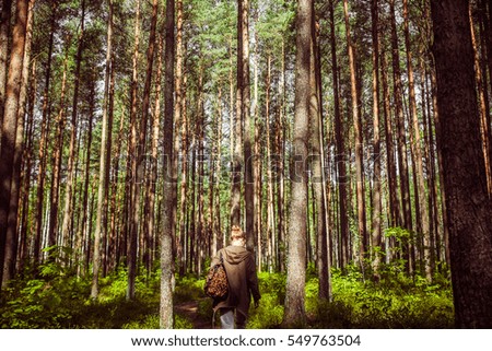 Girl searching mushrooms, pine tree forest in spring time