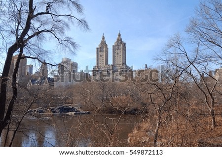 Wintery Central Park