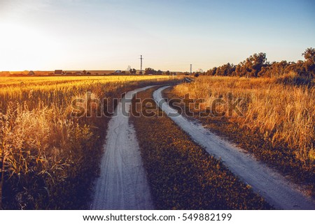 the road goes into the distance past the wheat field Royalty-Free Stock Photo #549882199
