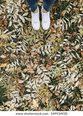 From the top picture of autumn leaves on the ground in park