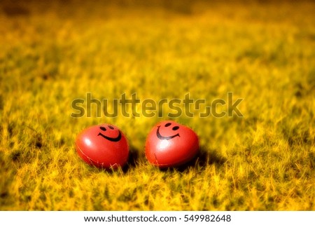 closeup of a red heart ,Valentine's Day background with Heart of love on the green grass.use effect filter and select focus