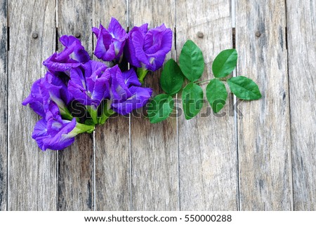 pea flowers on wooden background