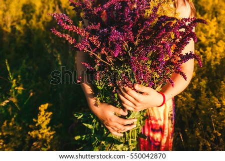 woman holding a bouquet of sage close up on sunset background Royalty-Free Stock Photo #550042870