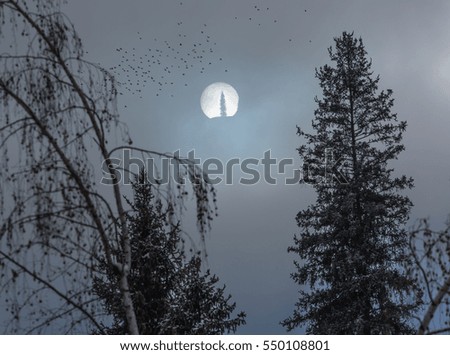 winter sun mystical, mysterious moon