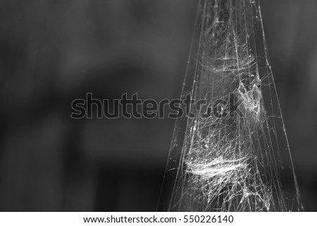 Abstract Spiderweb on black background