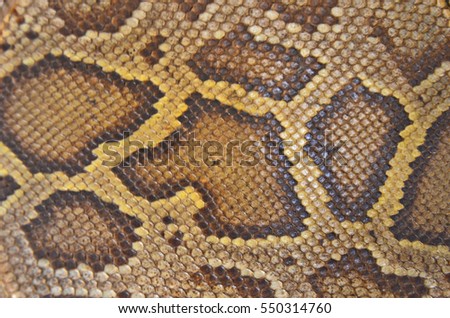 Pale colors of old boa skin texture Royalty-Free Stock Photo #550314760