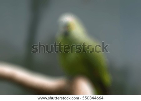 Zoo theme creative abstract blur background with bokeh effect